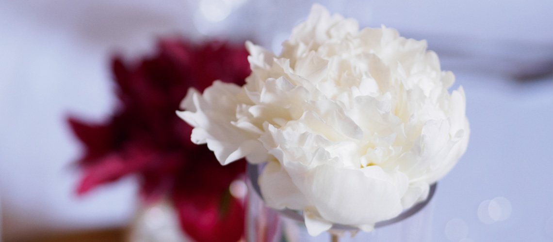 mariage-fleuriste-décoration-table-pivoine-blanche-Vauvenargues