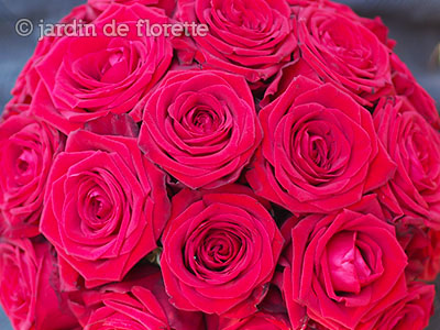 Bouquet de mariée rond à base exclusivement de roses rouges