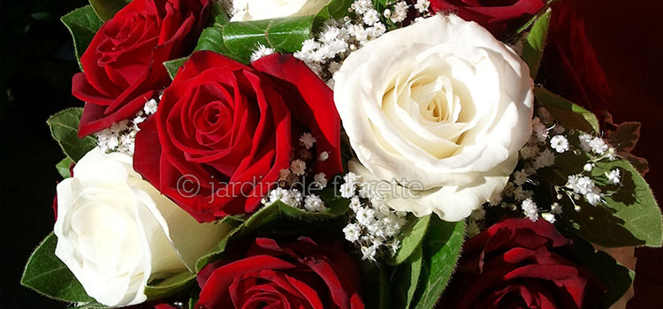 Bouquet de roses blanches et rouges agrémenté de gypsophile