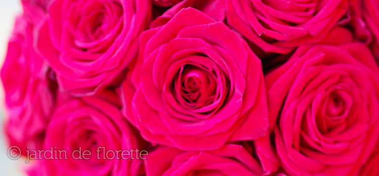 Zoom bouquet de mariée rond à base exclusivement de roses rouges